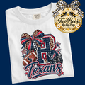 Checked and Bow Houston Texans